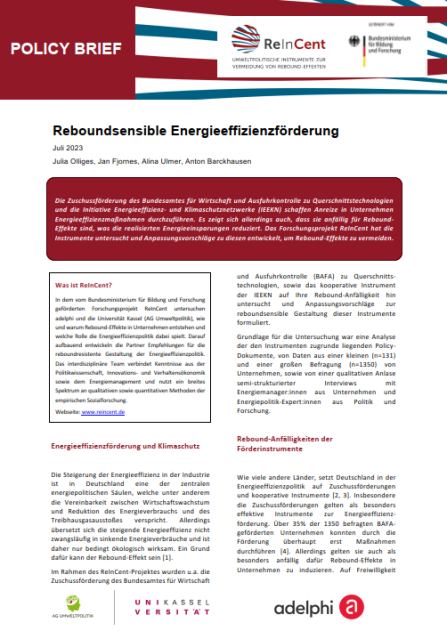 Policy Brief - Reboundsensible Energieeffizienzförderung